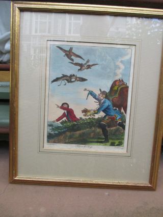 Die Falknerei Jagd Mit Falken,  Hawking Prattent Nach Dodd 1792 British Sportsman Bild