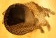 Persicher Helm Ca.  19.  Jahrhunder Antik Selten Helmet Antike Bild 9