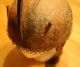 Persicher Helm Ca.  19.  Jahrhunder Antik Selten Helmet Antike Bild 6