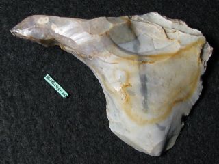 8000j.  A: Sehr Großer Bohrer Steinzeit Mesolithikum Feuerstein Silex Kongemose C Bild
