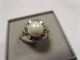 Eleganter Perlen Diamantring Ca.  0,  20 Ct.  Si/ws,  Gr.  18,  4,  6 G Ringe Bild 7