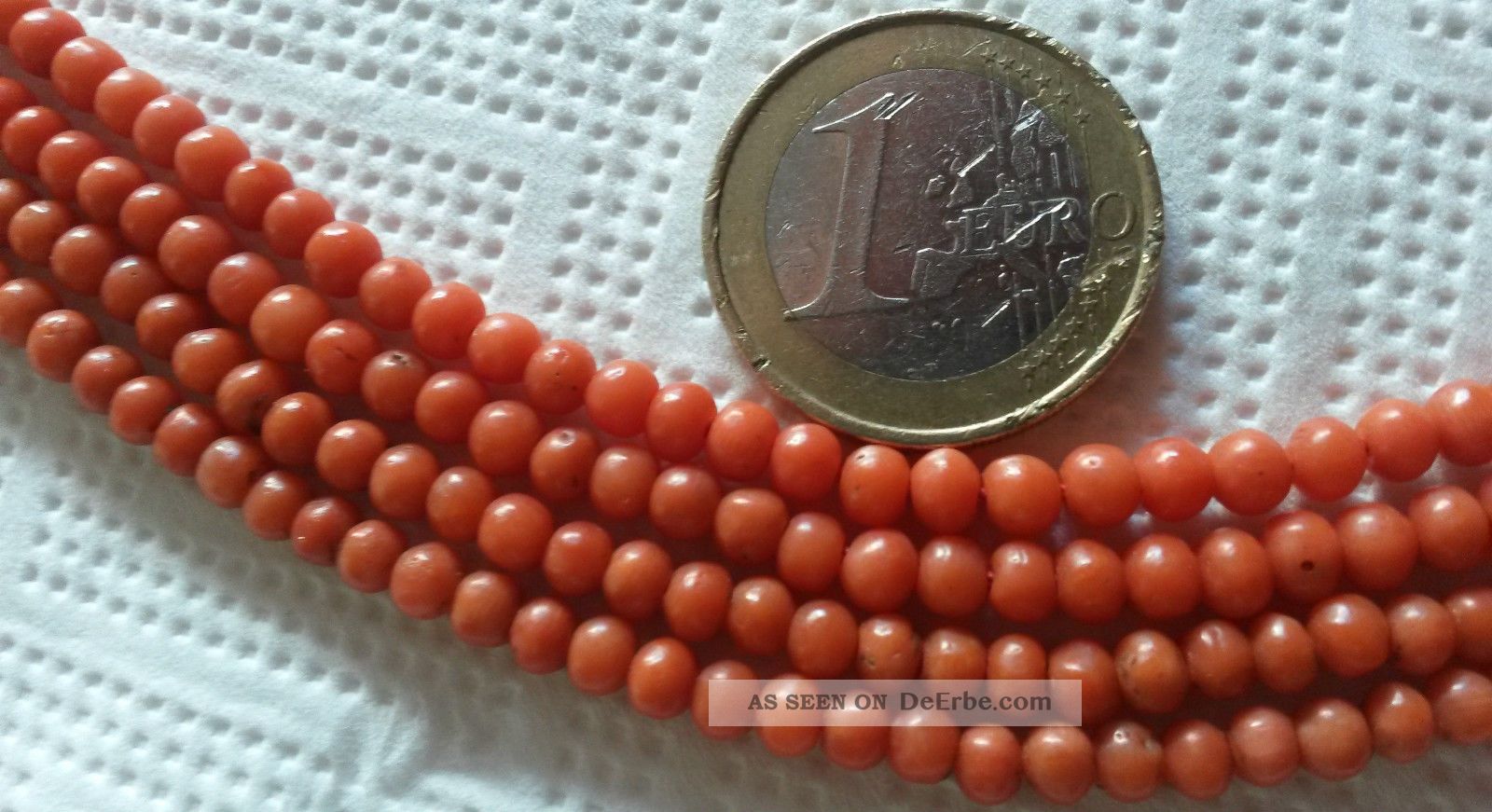 Echte Koralle Preis