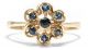 Eine Blüte Aus Saphiren Gold Ring Mit Feinem Saphir Besatz,  585 Gold Um 1960 Ringe Bild 1