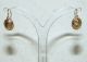 Ein Paar Ohrringe Biedermeier 19.  Jh.  In Gold 585 Schmuck nach Epochen Bild 1