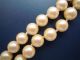 Damen Schmuck Halskette,  Perlen,  Verschluss 800 Gepunzt Ketten Bild 4