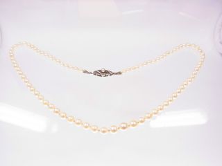 Schöne Zuchtperlen Kette 83 Perlen 46,  5 Cm Lang Mit 835 Silberschloß Bild