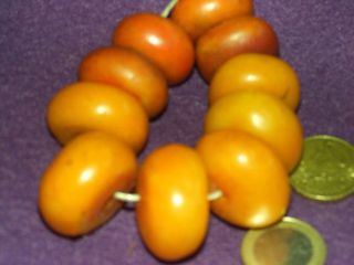 Bernstein Resine Amber Egg Yolk Butterscotch Beads Bild