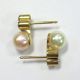 153 - Klassische Ohrstecker Aus Gold 333 - Zuchtperlen Diamanten - - - Video 1585 Schmuck & Accessoires Bild 1