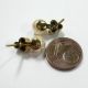 153 - Klassische Ohrstecker Aus Gold 333 - Zuchtperlen Diamanten - - - Video 1585 Schmuck & Accessoires Bild 2
