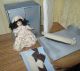 Puppenstuben Schlafzimmer Matratze,  Bettzeug,  Kleiderbügel Puppe 1/12 Handarbeit Original, gefertigt vor 1970 Bild 2