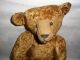 Alter Teddybär Hart Gestopfter Teddybär 42 Cm Stofftiere & Teddybären Bild 1