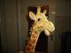 Große Antike Originale Steiff Giraffe Ca.  75 Cm Aus Sammlungsauflösung Stofftiere & Teddybären Bild 10