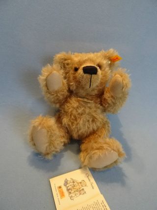 Steiff Teddybär 25 - Classic - 028809 - Neuwertig - Alle Ids - Viele Steiff - Auktionen Bild