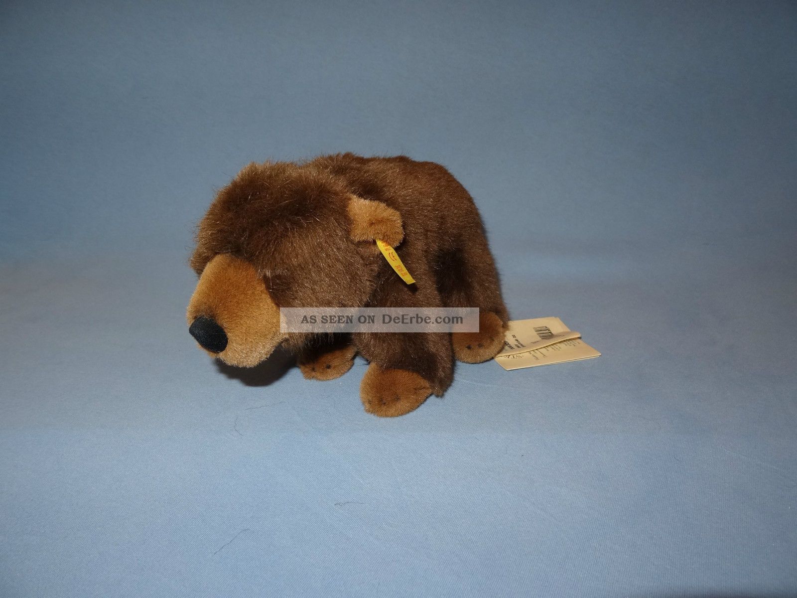 Steiff Baby Braunbär - 069307 - Neuwertig - Alle Ids - Viele Steiff - Auktionen - Sammlung Tiere Bild