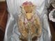 Schöner Großer Teddy Bär Ca 60 Cm England Canterbury Bears Limitierte Edition Stofftiere & Teddybären Bild 2