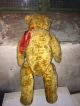 Geliebter Alter Großerteddybär 70 Cm Holzwolle Gestopft Fell Tadellos Stofftiere & Teddybären Bild 3