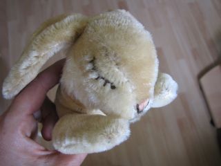 Altes Steiff Häschen Bild