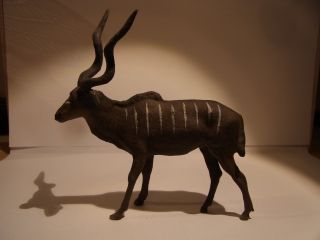 Kudu,  Lineoltier In Bild