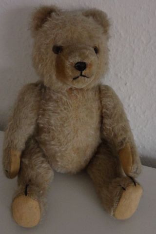 Alter Teddybär Für Liebhaber Teddy 30 Cm Bewegliche Gelenke Bild