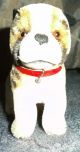 Steiff; Kleiner Alter Hund 11 Cm Groß; Halsband Vorhanden Fahne Und Knopf Nicht Steiff Bild 1