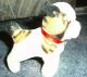 Steiff; Kleiner Alter Hund 11 Cm Groß; Halsband Vorhanden Fahne Und Knopf Nicht Steiff Bild 2