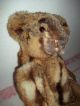 Alter Pelzteddybär - Bär - Teddy - Holzwolle,  Echt Pelz - Fell 50cm - Um 1960 Stofftiere & Teddybären Bild 3