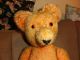 Alter TeddybÄr Teddy 59 Cm,  Gelber Mohair Holzwolle Gestopft Stofftiere & Teddybären Bild 1