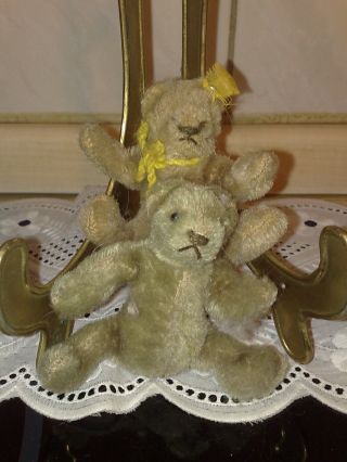 Steiff 2 Miniatur Teddy Bären Grau & Beige Teis Mit Knopf & Fahne Bild