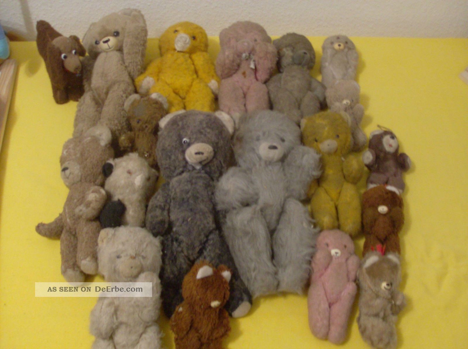 Alte Teddybär Sammlung Alte Teddies Teddy Uralt 1900 Hdt.  18 Stück Konvolut Stofftiere & Teddybären Bild
