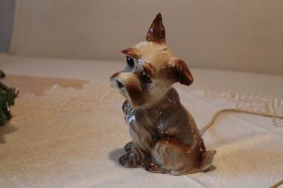Rauchverzehrer Porzellan Figur Hund Terrier Beleuchtung,  Voll Funktionstüchtig Bild