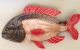 5 Fische Aus Keramik | Selten | Design | Stil | Sushi Ab 2000 Bild 2