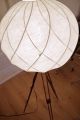 Cocoon Tripod Steh Lampe Holz Stativ Dreibein Art Deco Loft Antik 20 60 Ica Flos 1960-1969 Bild 11