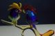 Murano Glas - Papagei - Papageien - Verliebtes Paar Auf Einem Ast Glas & Kristall Bild 1