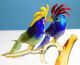 Murano Glas - Papagei - Papageien - Verliebtes Paar Auf Einem Ast Glas & Kristall Bild 8