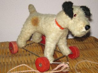 Alter Plüschhund Auf Rädern,  Hund Strohgefüllt Bild