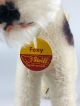 Steiff – Foxy – Foxterrier 4420/17 – K / F / S – Sammlerstück Tiere Bild 3