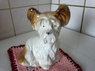 Porzellan - Hund Aus Der Ddr Gemarkt Für Sammler Und Liebhaber Bild