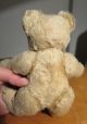 Zwei Uralte Kleine Teddybären Stofftiere & Teddybären Bild 6