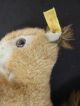 F34) Steiff Tier Ricky Eichhörnchen Kinder Spielzeug Bespielt Mit Knopf Im Ohr Tiere Bild 1