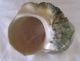 Große Turbo Marmoratus Muschel Schnecke Turban Perlmutt Maritime Dekoration Bild 4