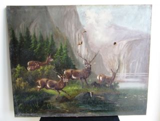 Black Forest Jagd Hunter Hirsch Öl Auf Leinen Bild Cervo Deer 19.  Jhdt.  Antlers Bild