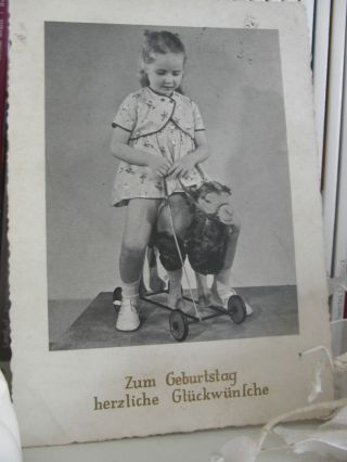Ak Spielzeug Kleines Mädchen 1958 Steiff Rolltier Sitztier Kamel Auf Rädern Bild