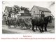 Marburger Land 1901: Prächtiger 