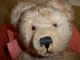 Nachdenklicher Diem Teddy Sucht Neues Zuhause 48 Cm Bär Teddybär Stofftiere & Teddybären Bild 6