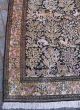 Orientteppich / Teppich Kaschmir Seide 170x110 Cm,  Pflanzen & Tier Motive Teppiche & Flachgewebe Bild 3
