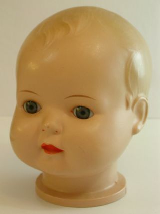 SchildkrÖt Puppe Kopf Bild