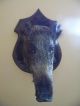 Praeparierter Wildsschweinkopf / Trophaehe / Taxidermy / Tierpraeparat Jagd & Fischen Bild 4