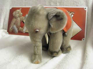 Steiff Elefant,  Elephant Nr.  0500,  17 Mit Schild Bild