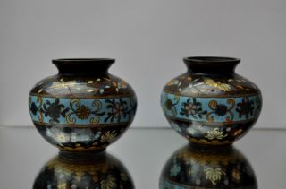 Paar Kleine Cloisonne Vasen Japan Bild