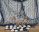Fischernetz 1x2m Blau Mit 10 Seesternen Und 15 Muscheln Für Die Maritime Deko Maritime Dekoration Bild 1
